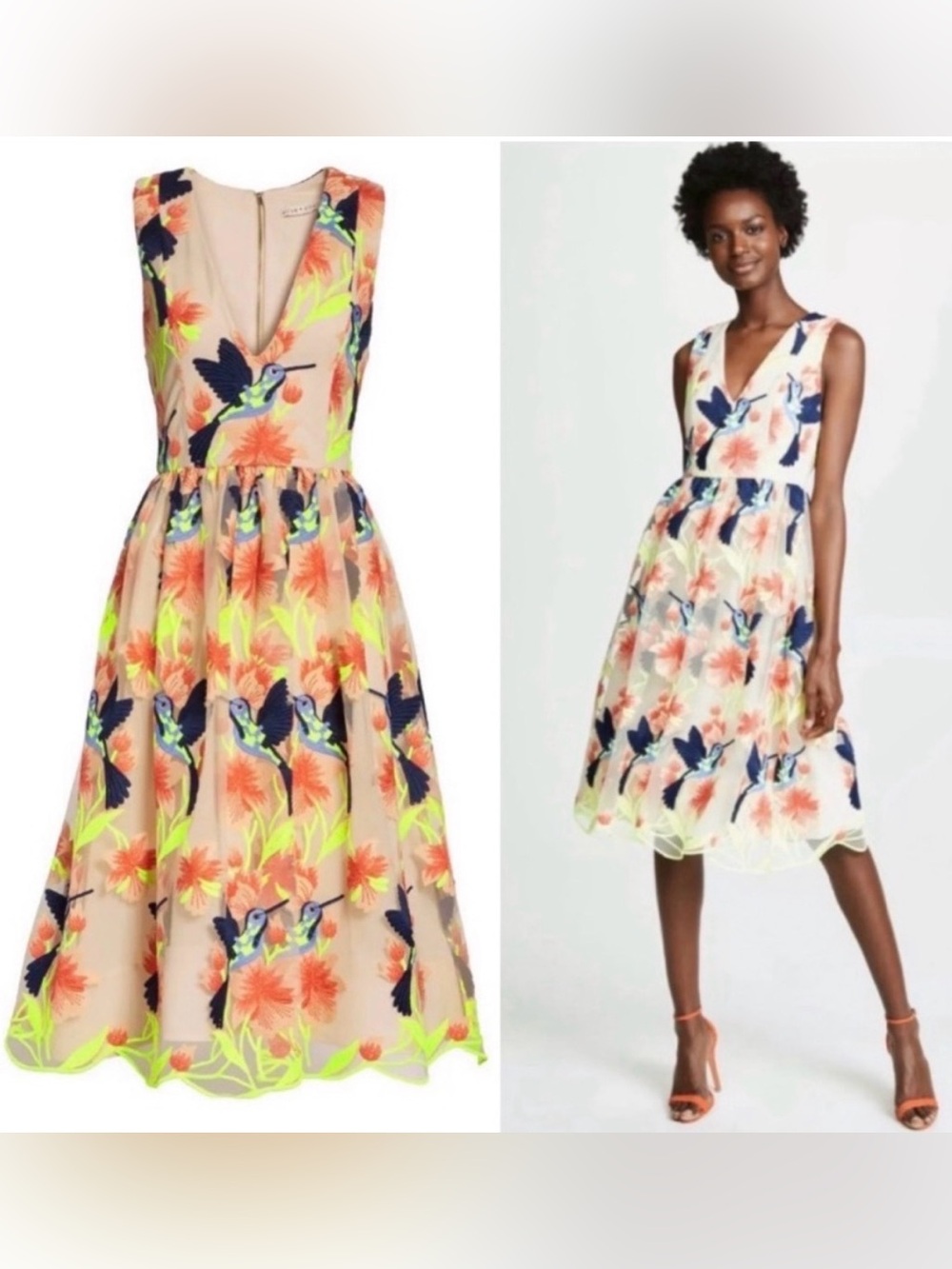Alice + Olivia Becca Hummingbird Embroidered Dress Sz 6